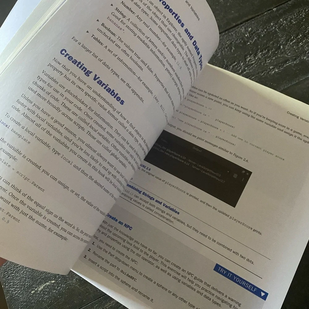 Pearson Roblox Lua Coding Guide with Black and White Cover